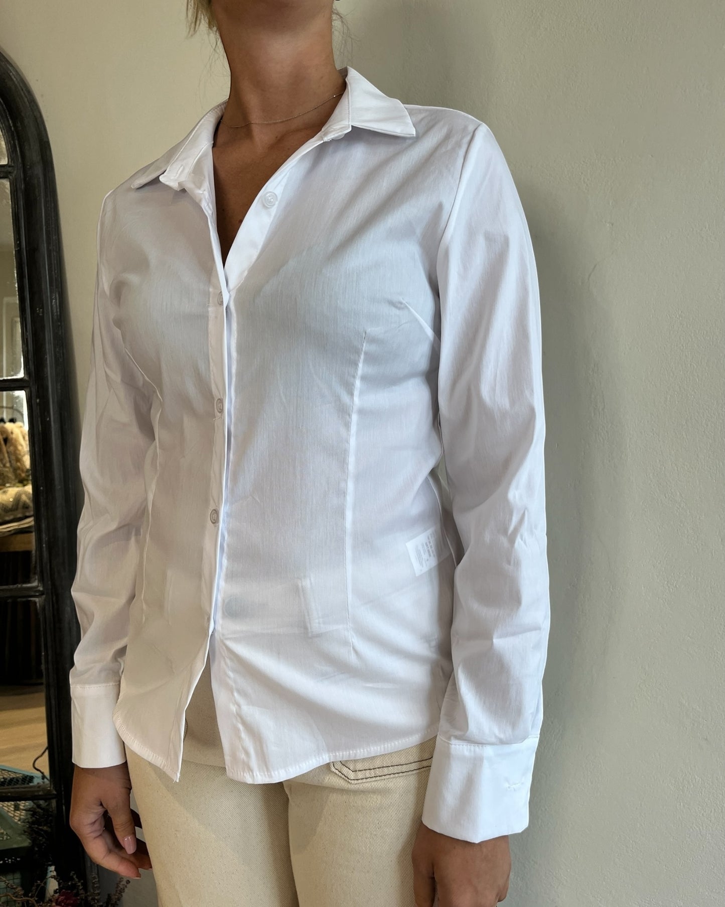 Camicia classica sfiancata art. 6036 CHEAP&CHIC