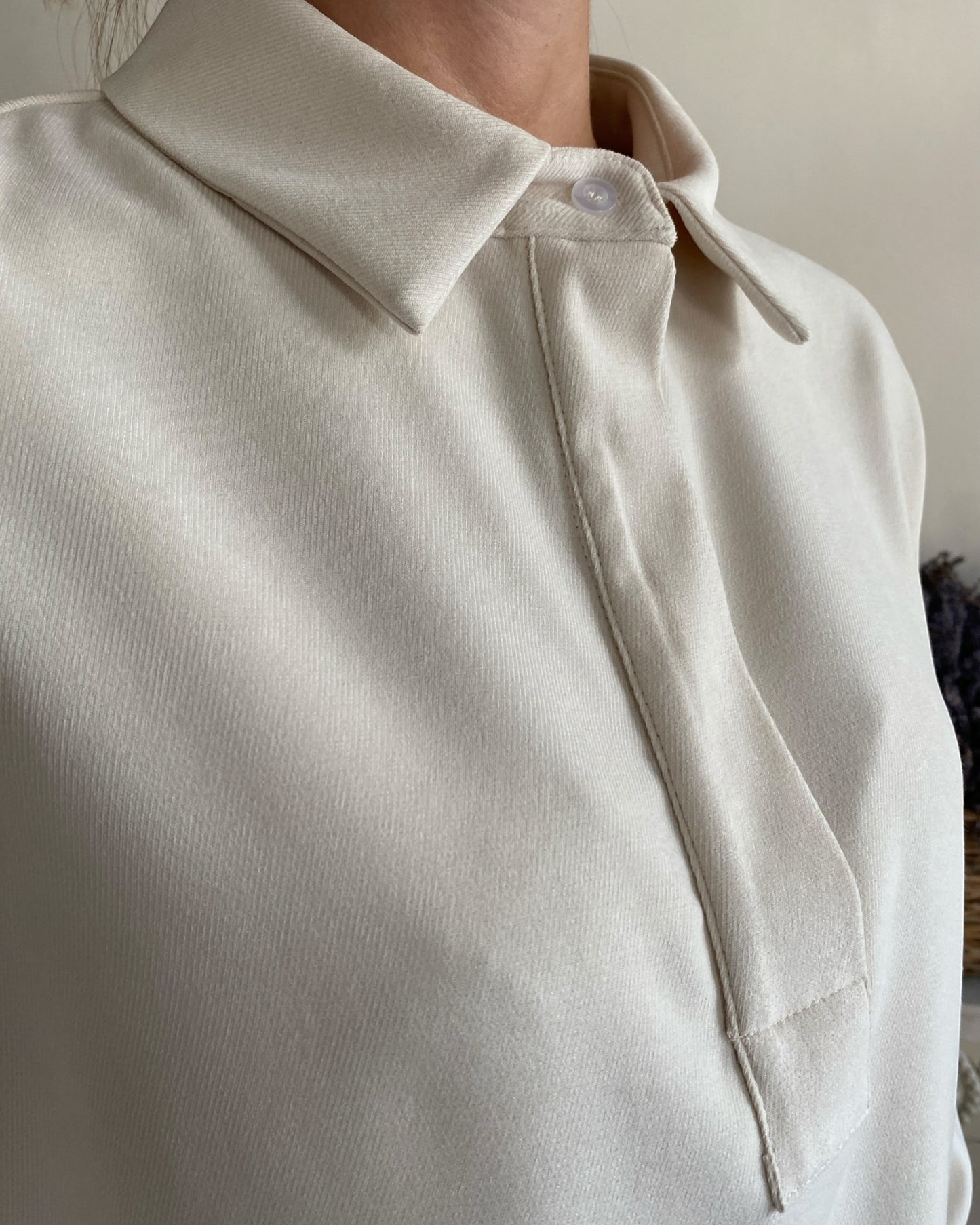 Camicia in velluto diagonale art. L58YBF FAME LOLA by Sandro FERRONE