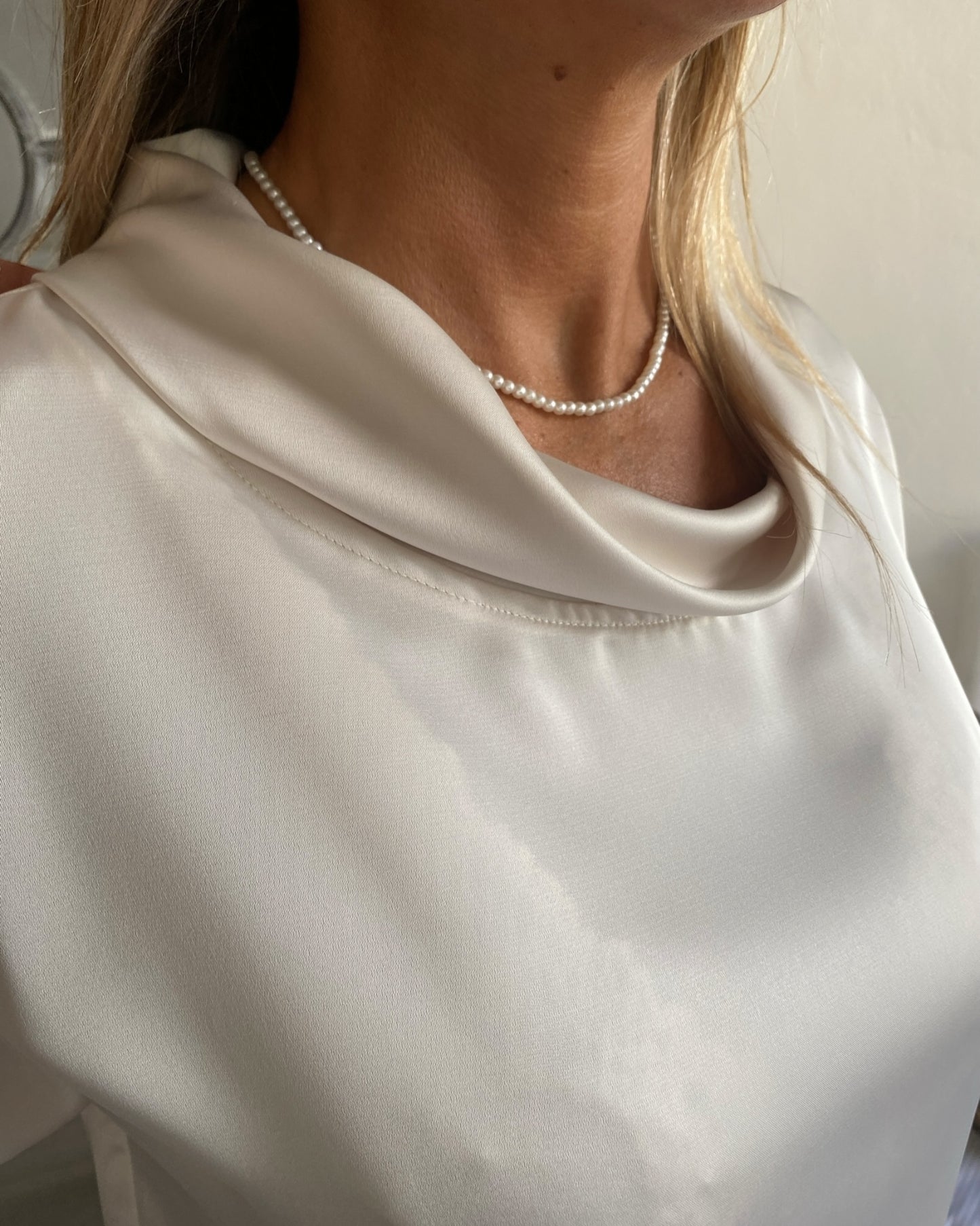 Blusa con collo ciambella art. L24YBF VERBENA LOLA by SANDRO FERRONE