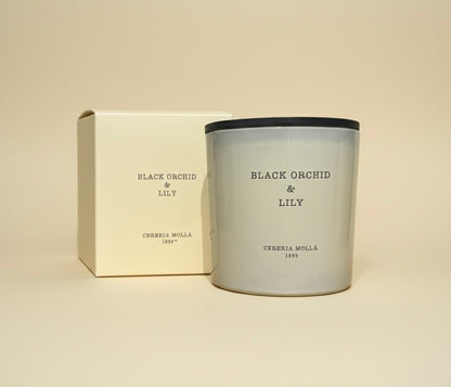 Candela Grande Cereria Mollà