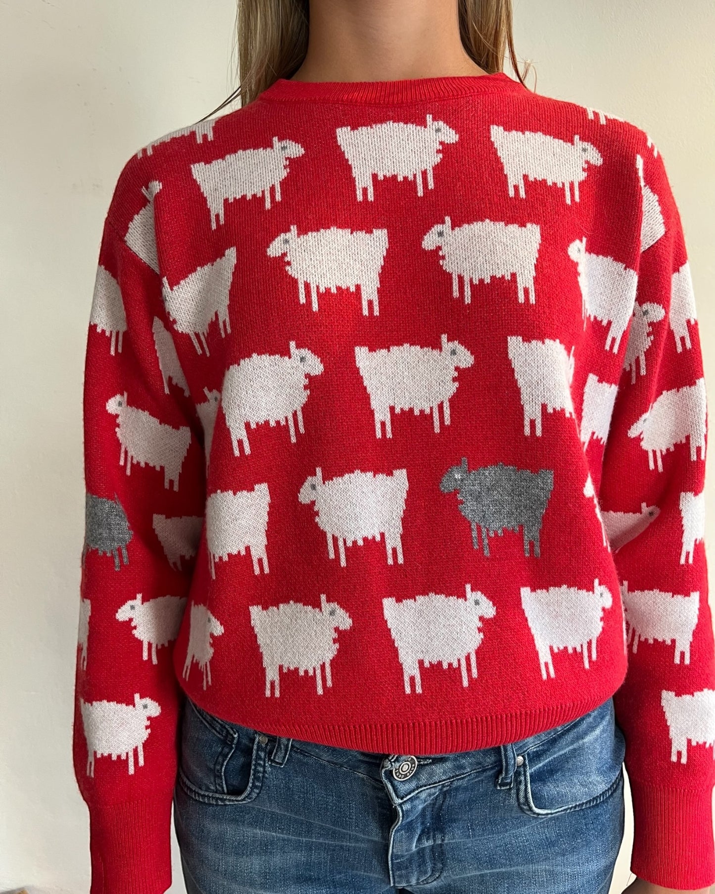 Maglia pecorelle art. 55231F VICOLO