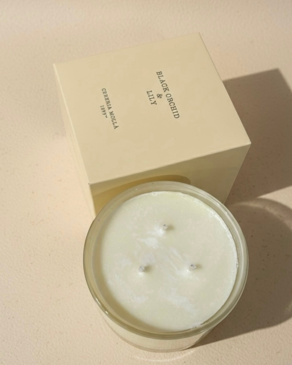 Candela Grande Cereria Mollà