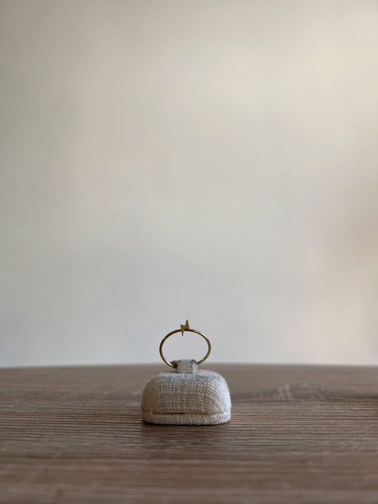 Anello Icona